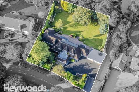 20240914-DJI_0838-Enhanced-SR - Copy
