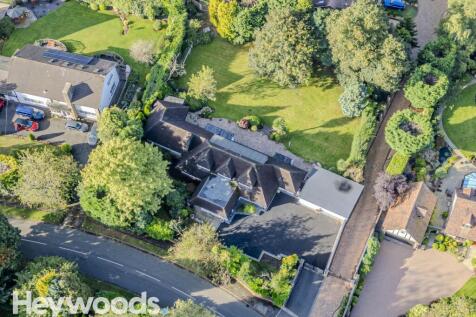 20240914-DJI_0838-Enhanced-SR