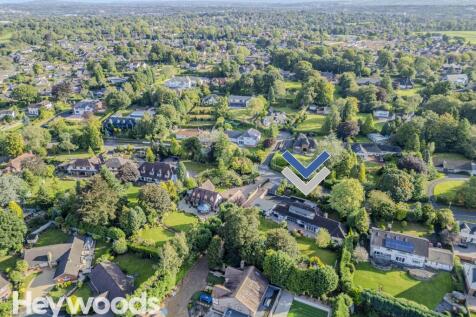 20240914-DJI_0846-Enhanced-SR - Copy