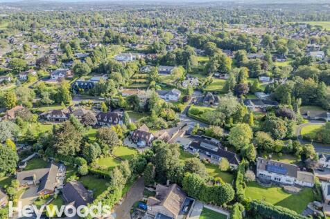 20240914-DJI_0846-Enhanced-SR
