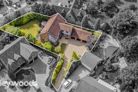20240627-DJI_0463-Enhanced-SR - Copy