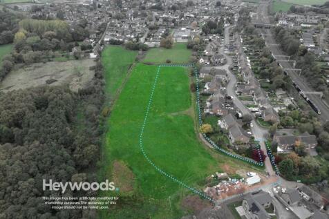 This image has been artificially modified for mark