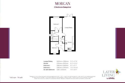 Morgan Layout