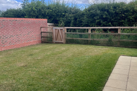 Back Garden
