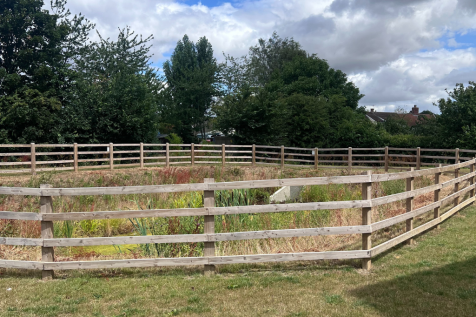 Attenuation Basin