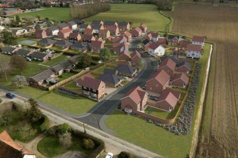 Development CGI