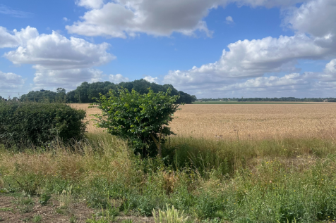 primary property image