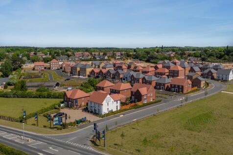 Street Scene Elm Tree Park