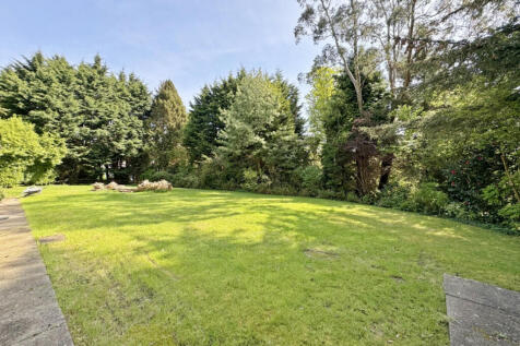 Property Image 43