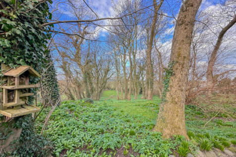 Property Image 59