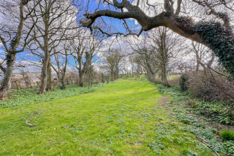 Property Image 62