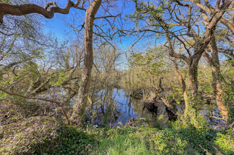 Property Image 13