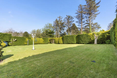 Property Image 38