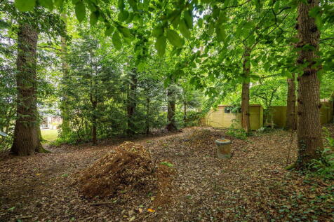 Property Image 34