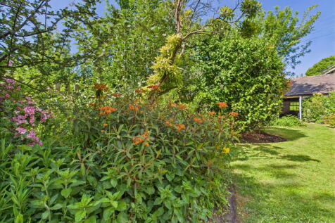 Property Image 44
