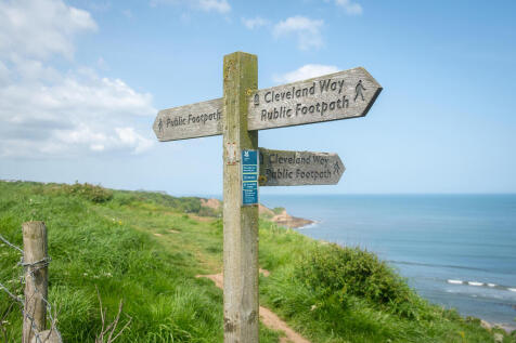 The area around Cayton Bay beach in summer