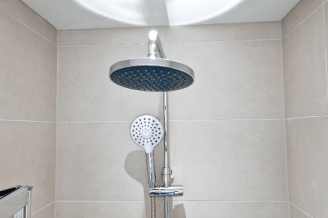 Dual Shower Heads