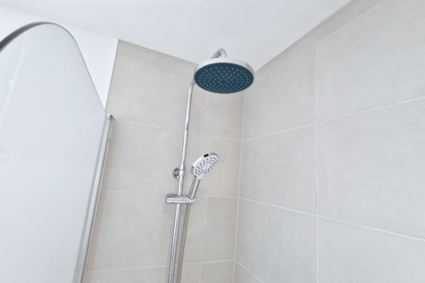 Dual Shower Heads