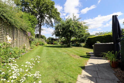 Summer Garden