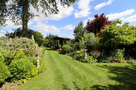 Summer Garden