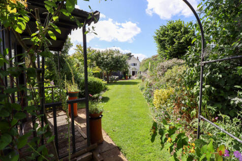 Summer Garden