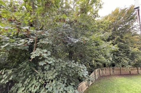 garden 1