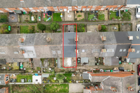 Plot View