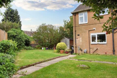 Back Garden