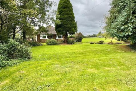 front garden.jpg