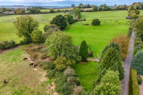 dji_fly_20241011_130612_0692_1728648497537_photo.J