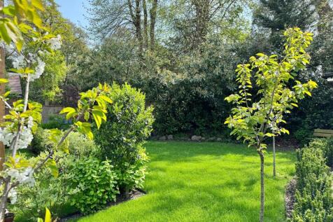 Communal garden 2.jpg