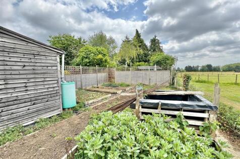 Veg patch.jpg