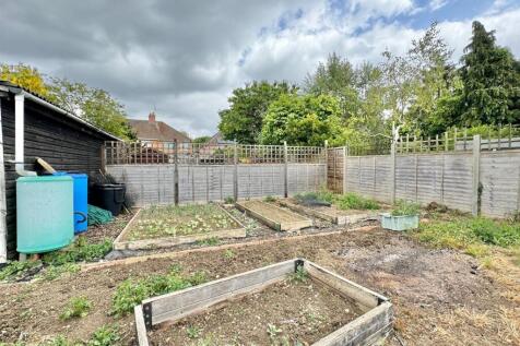 veg patch 2.jpg