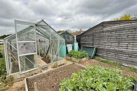 veg patch 3.jpg