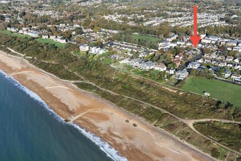 Ariel Beech Photo.jpg