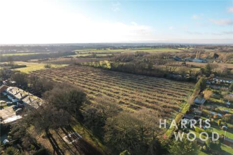 Property Image 34