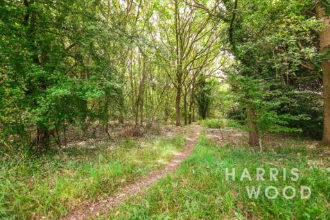Property Image 34