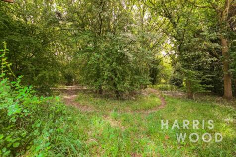 Property Image 35