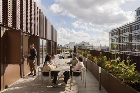 NSS  Terrace.jpeg
