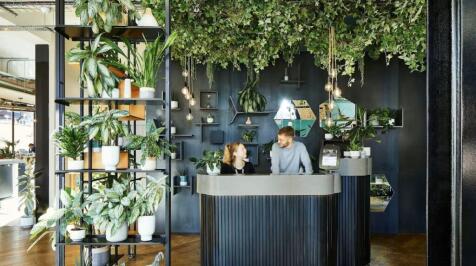 Borough  Reception.jpeg