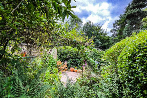 Back garden edited