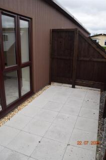 Rear Patio