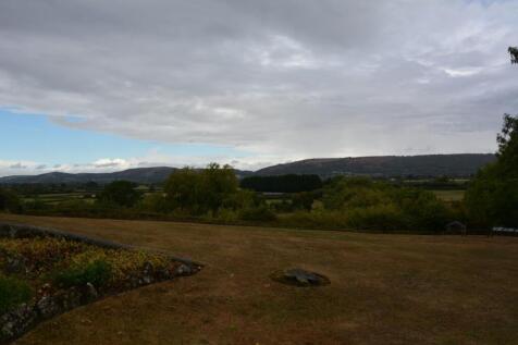 Panoramic View