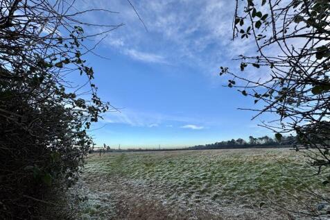 Field Opposite