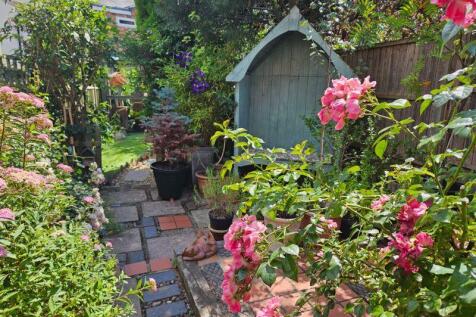 Back Garden