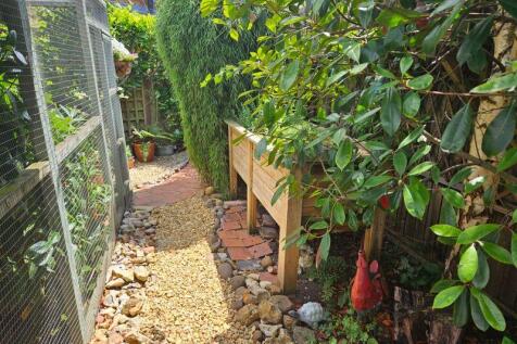 Back Garden