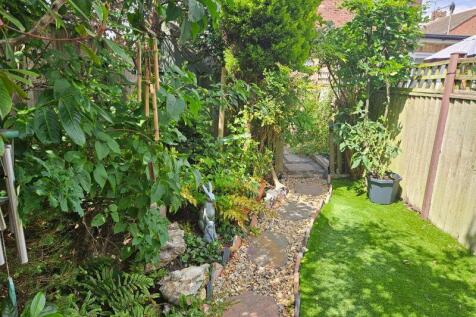 Back Garden