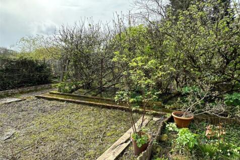 Vegetable Garden