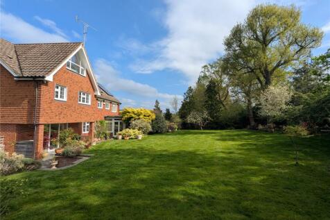Back Garden