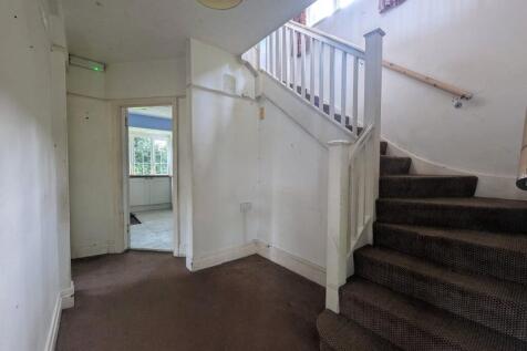 Picture 11